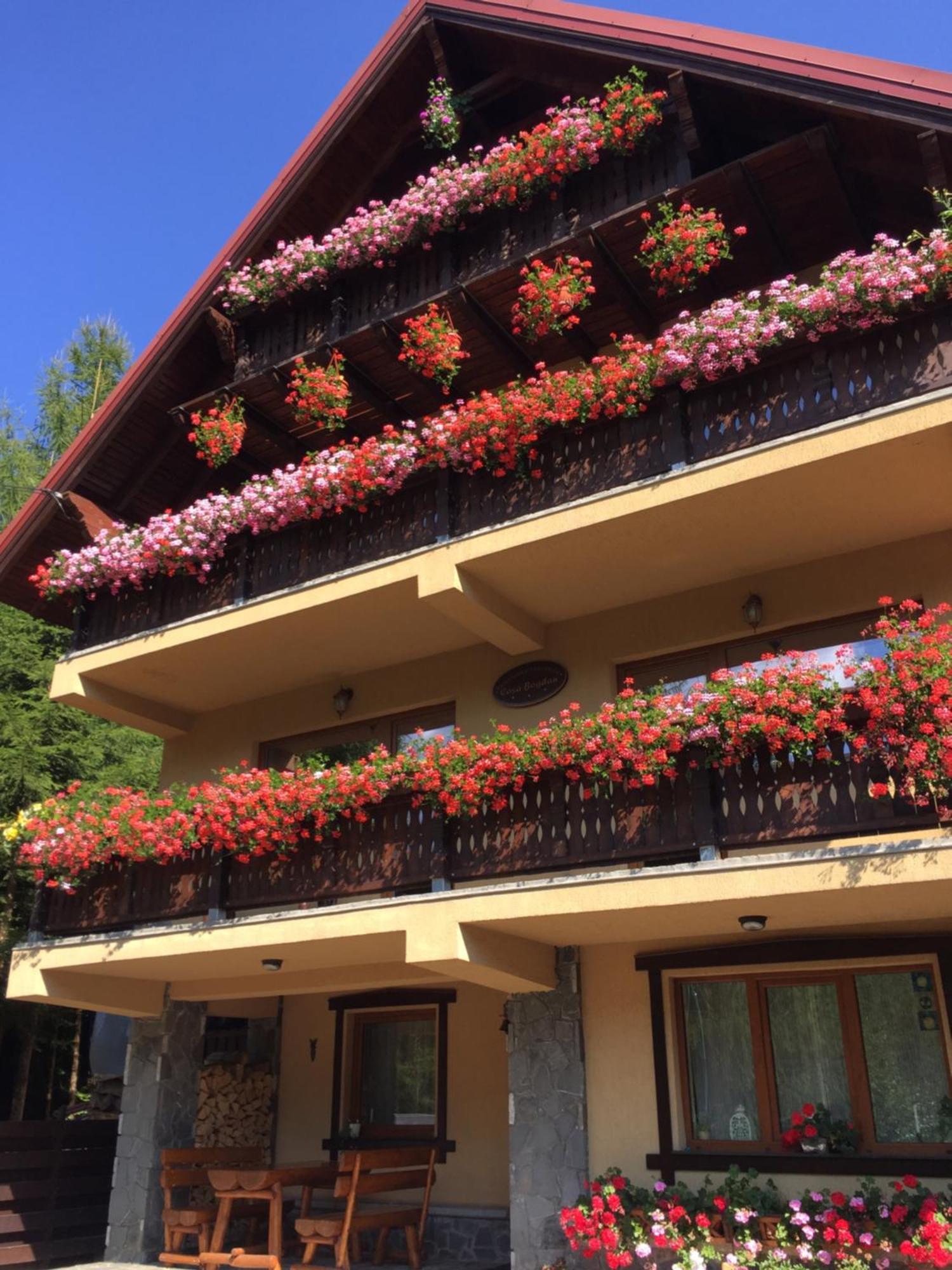 Pensiunea Casa Bogdan Azuga Exterior foto