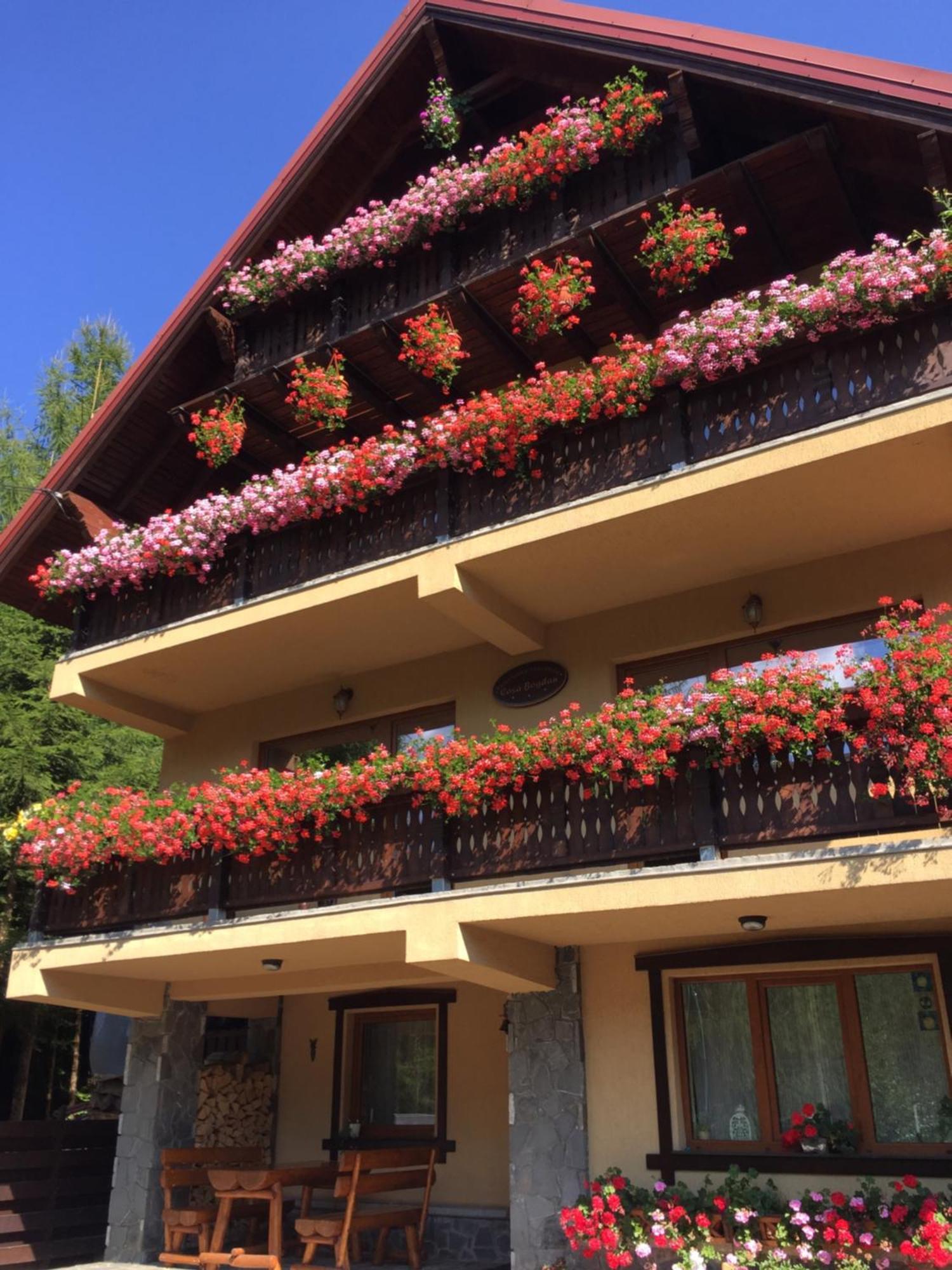 Pensiunea Casa Bogdan Azuga Hotel Exterior foto